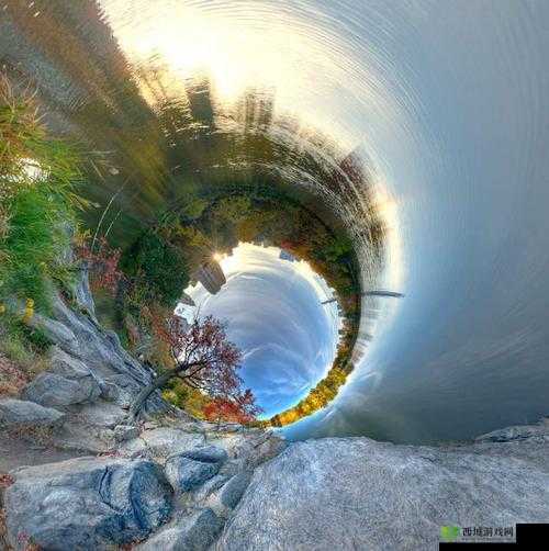 看了就会立的图片：令人惊叹的视觉呈现