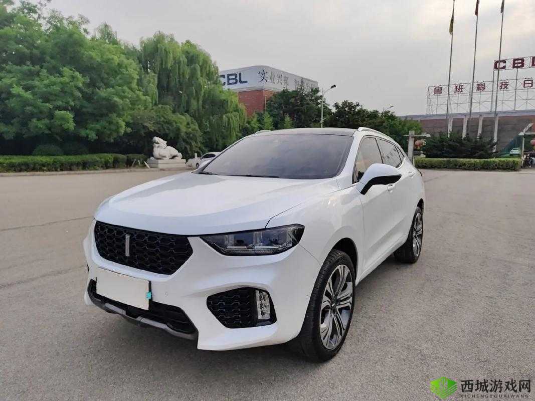 WEY VV5 国产 SUV 精彩视频呈现