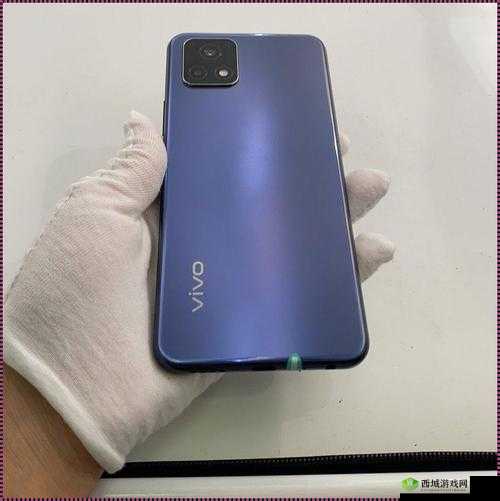 成色好的 Y31S 标准版：时尚实用的超值之选