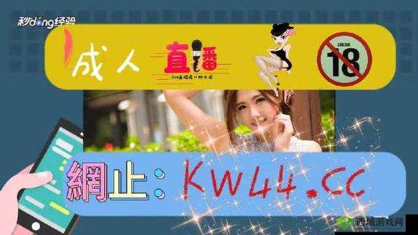 大菠萝福建导航入口:畅享便捷导航之旅