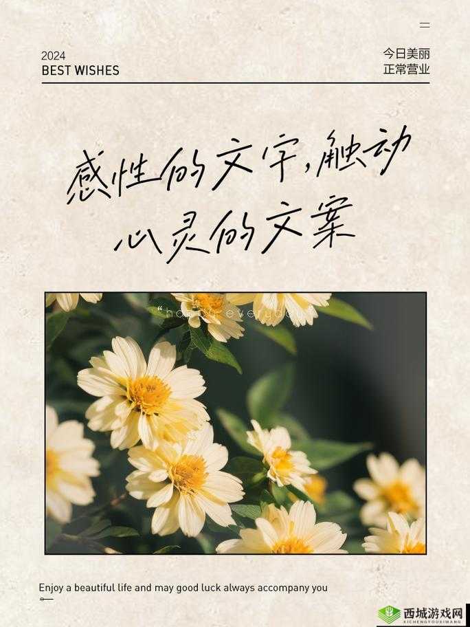 zw 时看的文案:那些触动心灵的瞬间