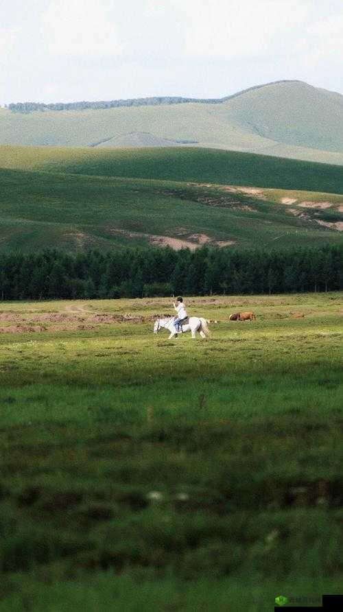 四叔教你 1v2 更新时间：每周固定更新