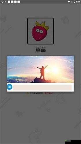 小猪草莓丝瓜深夜释放自己:独特的歌词表达