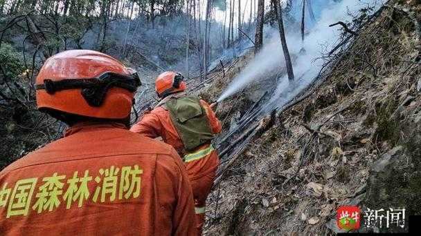 五个消防员绝境 1V5:浴火之战