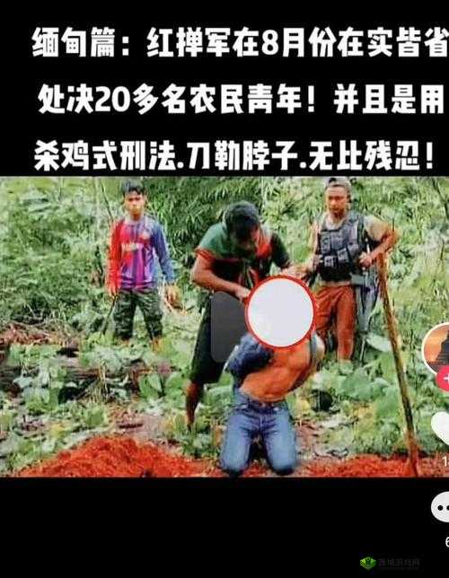 缅甸北部杀头血腥网站2023黑网:探秘其背后真相