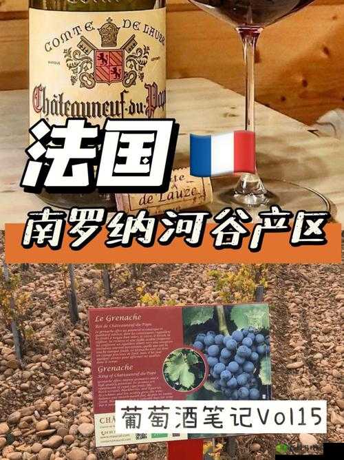 欧美精品一产区二产区：特色产品介绍