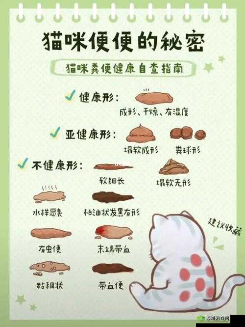 软起不来原因探究:为何会软起不来