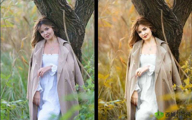 PS 二级调色大片效果：让你的照片更具艺术感