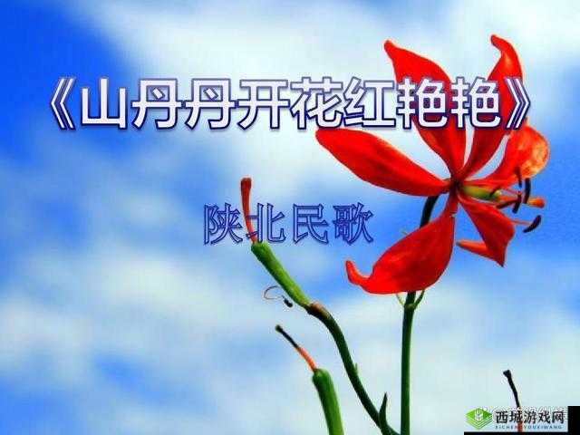 女生呵啊呵啊呵啊叫什么歌引发的旋律探索