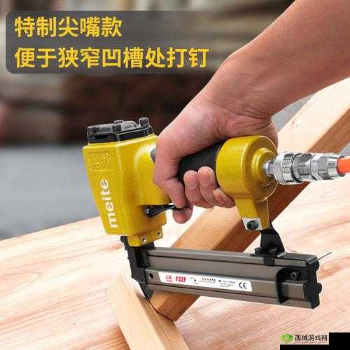 提枪直入两扇门：一场意想不到的冒险