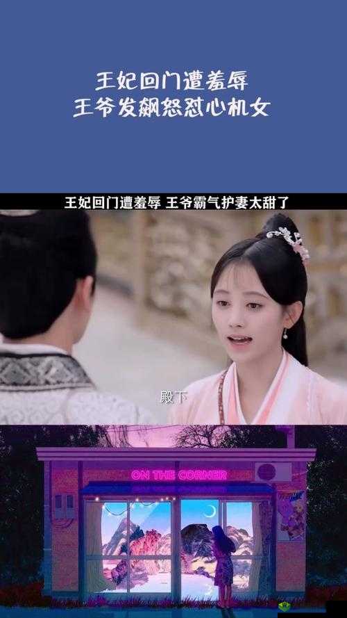 王妃回门后被父亲大厅质问