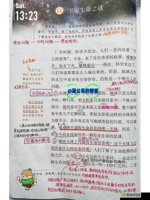 11 岁下面能放几支笔：探寻隐藏的数量之谜