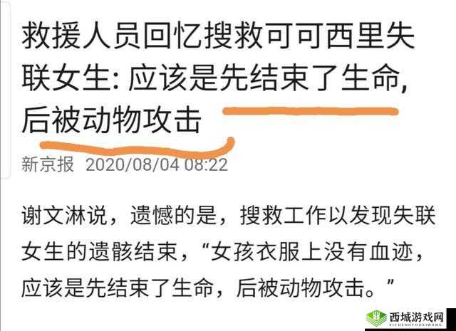 yw193.coc 龙物失联:一场离奇的事件