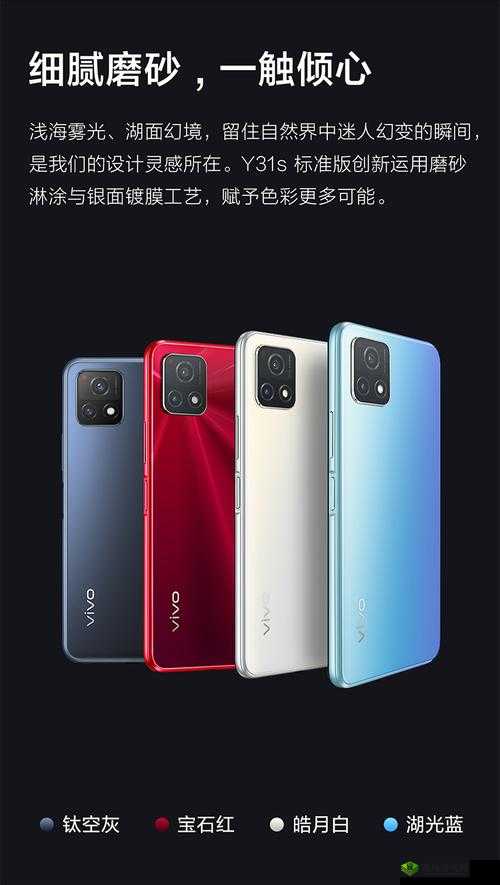 一级成色好的 Y31s 标准版重磅消息：勒令整改提出