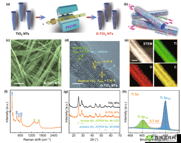 欧大 Dscum:剖析其本质与影响