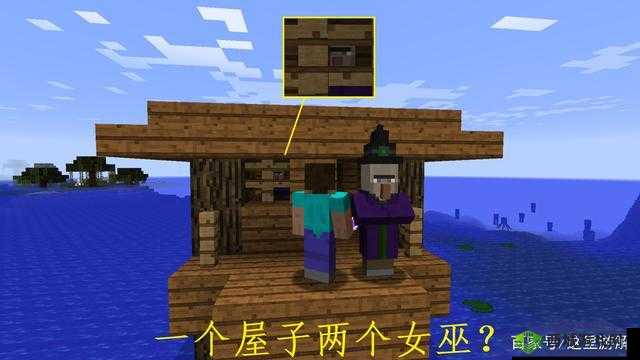 我的世界中前往女巫小屋的指令究竟是什么呢