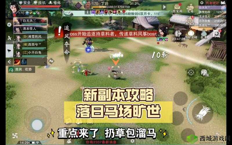 一梦江湖手游落日马场新秀副本通关攻略:配置与打法全解析