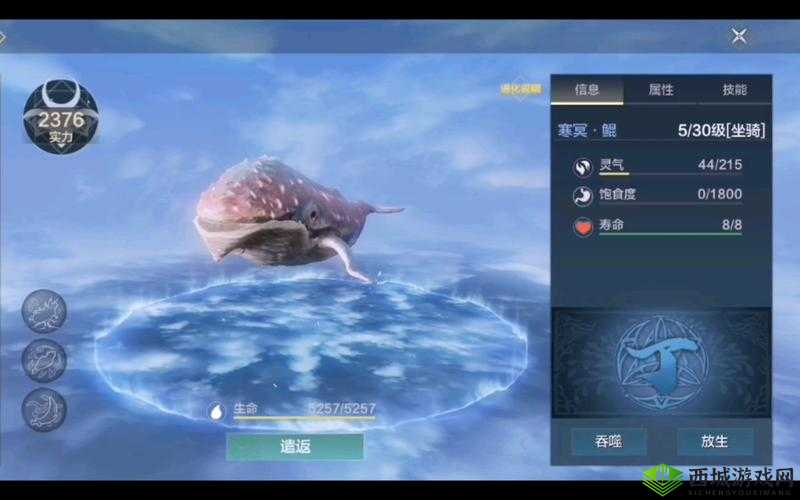 关于妄想山海岳云鲲骑乘方法详细解析