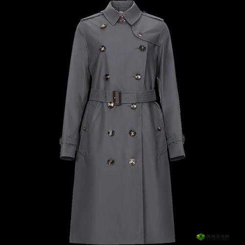 BURBERRY 经典风衣,彰显优雅气质