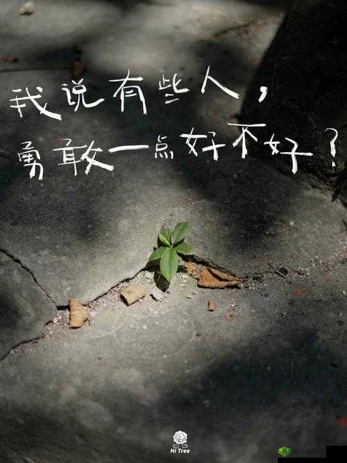 我们站着再来一次好不:勇敢的挑战