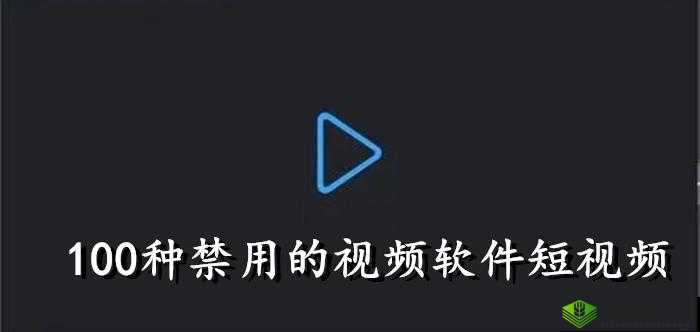 100 种禁用的视频软件:成年人的世界你无法想象