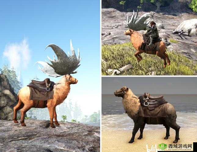 方舟生存进化:了解大角鹿的用途、饲料和分布