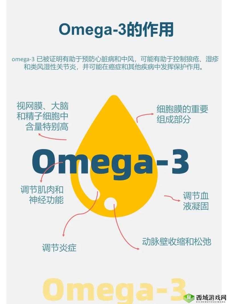 欧美精品三产品区别剖析