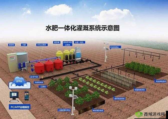 智能农业灌溉系统：提升水资源利用效率