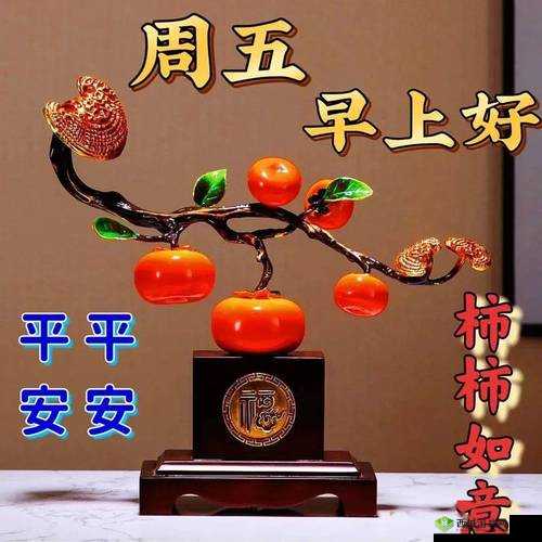 b 站大全永不收费 2023 入口在哪里快看这里- 最新入口汇总