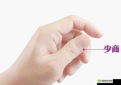 新手找不到入口准确位置:怎么办