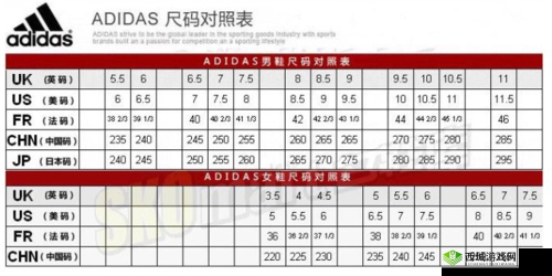 阿迪达斯三叶草 M 码是多大之尺寸解析