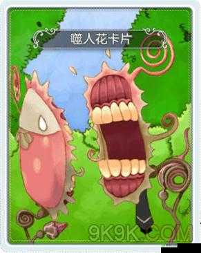 探秘仙境传说 RO 噬人花卡片：获取方法全解析