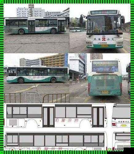 Yingdan 小镇公交车尺寸:探秘其独特规格