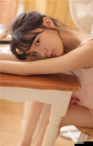 VPSWINDOWS 另类极品:探索未知的精彩世界