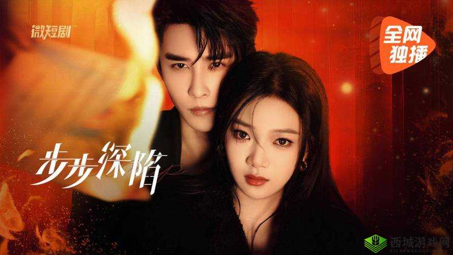 国外 B 站推广网站:开启全新视频之旅