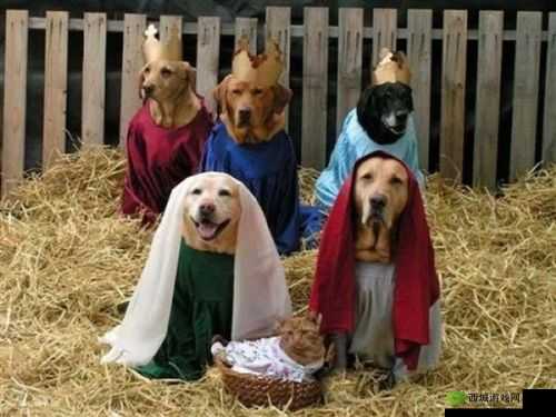 玩人狗大战的实现方法：模拟战斗，角色扮演