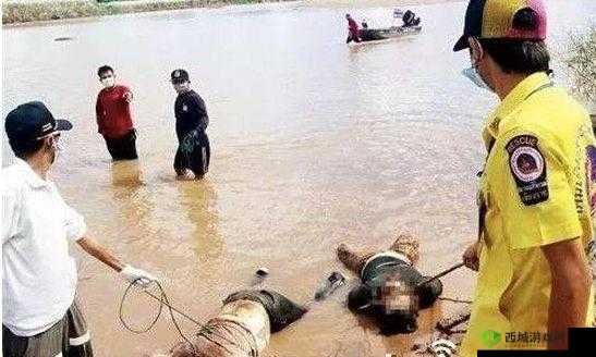 缅甸北部恐怖血腥网站www软件:内容揭秘