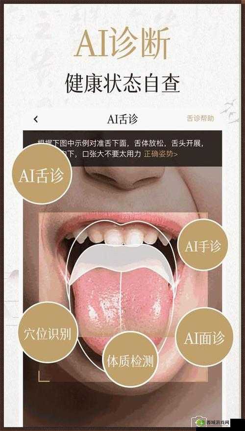 丰年经继拇中文 2 特色：丰富内容多元呈现