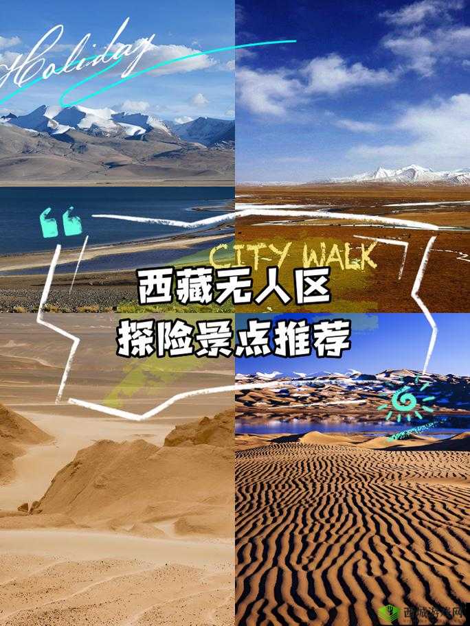 无人区 6229JMy 的神秘探险