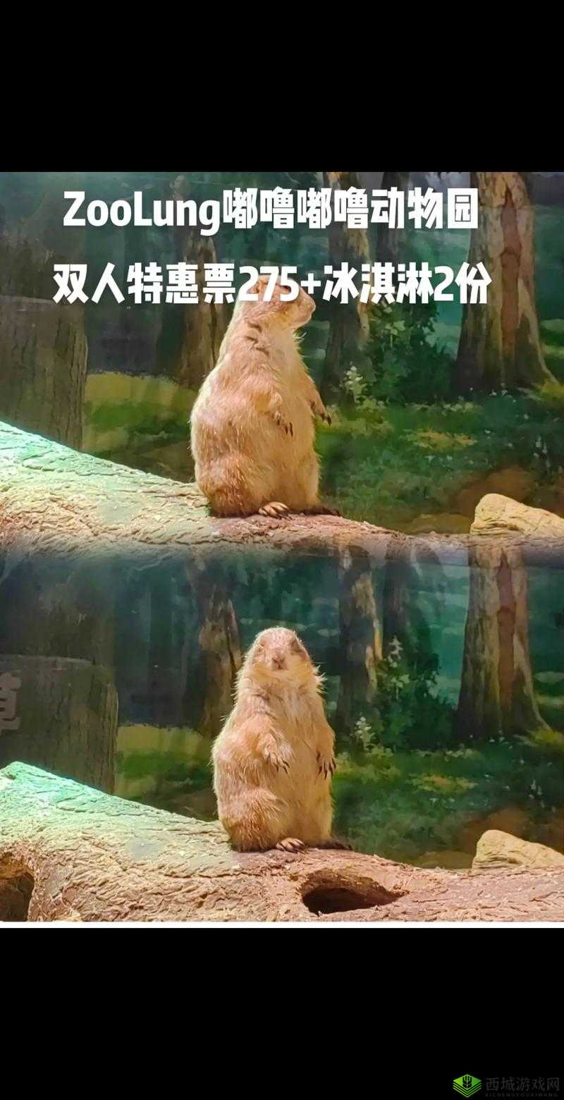 嘟噜外有大嘟噜之神奇现象