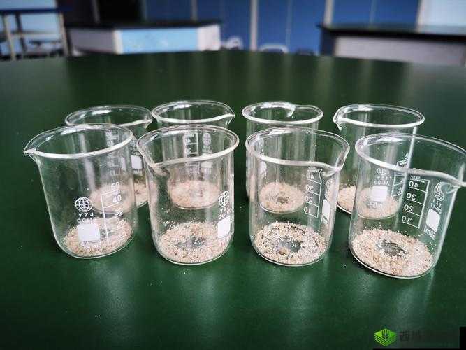 小烧杯炒似你：独特的存在