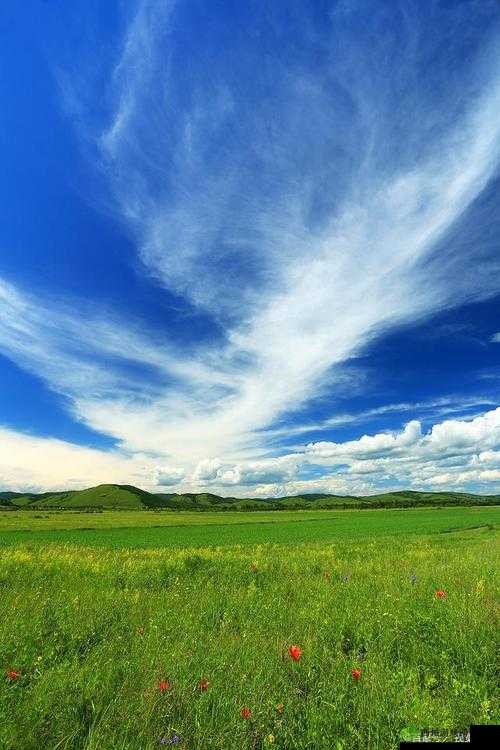 仙踪林 COMPANY LIMITED：探寻自然与生活的交融