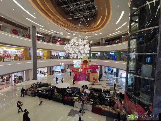 双龙 1v2 养兄:热血战斗与兄弟情谊