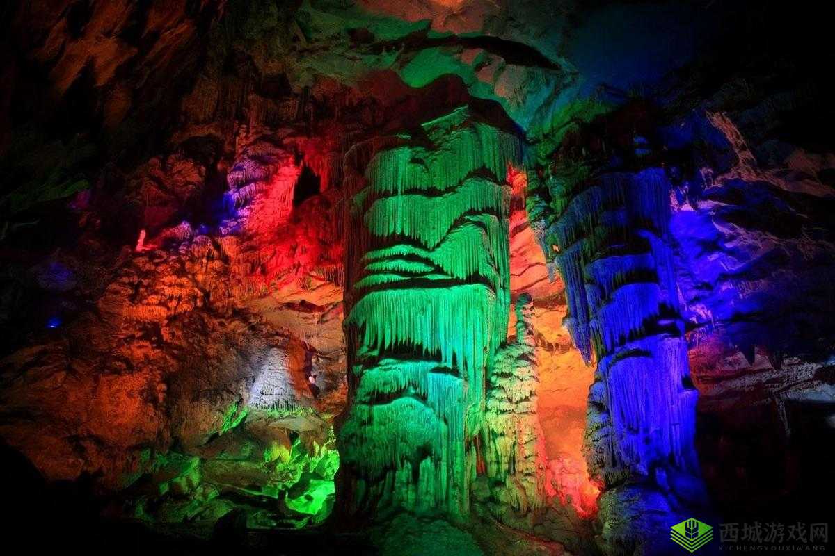 x9x9x9 任意槽 2024：探索未知的奇妙之旅