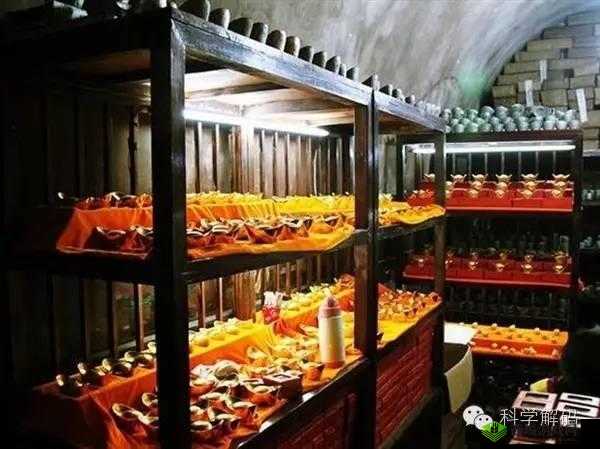 绿巨人聚合藏宝阁:畅享丰富资源宝库