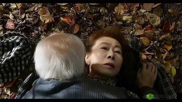 60 岁老人交易森林:价格表惊人