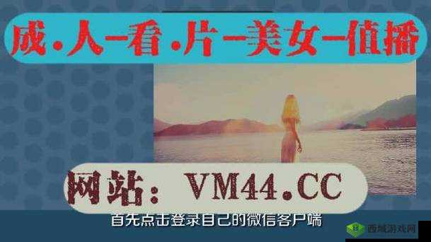 100 种禁用视频软件,成年人慎用