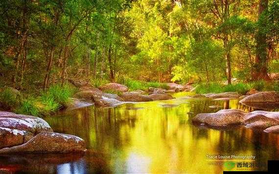 中国 windows 野外:探索自然之美