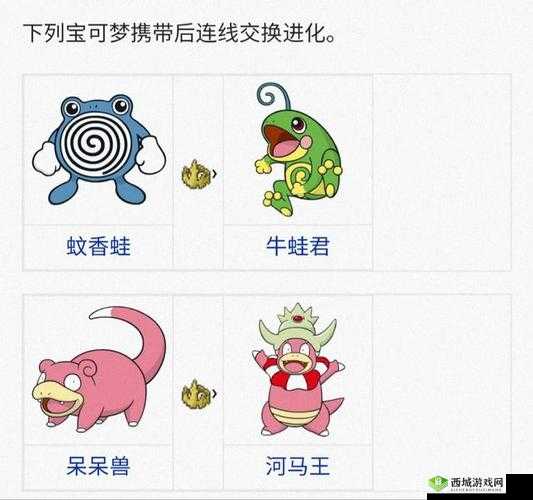 探寻口袋妖怪王者之证的进化奥秘