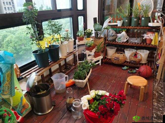 亲小花园技巧：如何更好地亲小花园